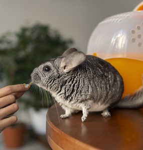 comment choisir meilleure assurance nac